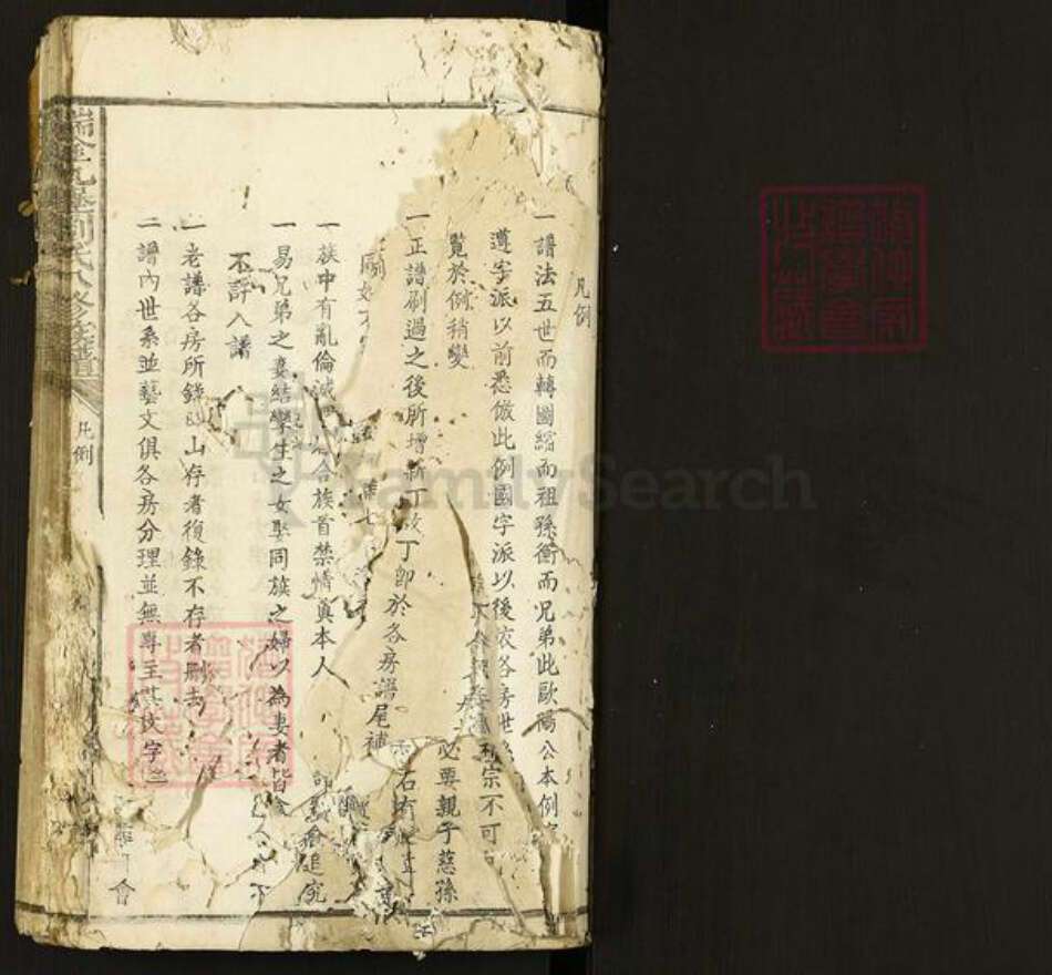 江西省赣州市瑞金市叶坪乡刘氏族谱-瑞金九堡刘氏八修族谱.pdf电子版预览图1