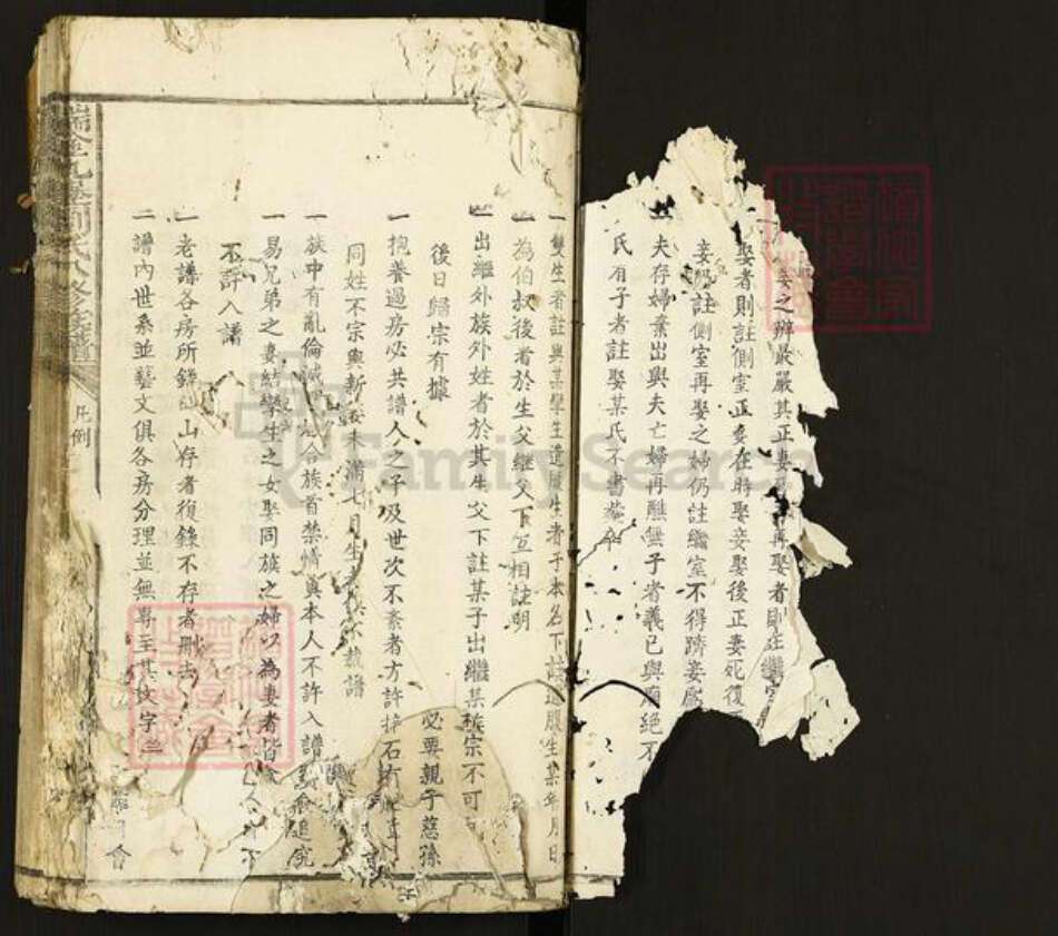 江西省赣州市瑞金市叶坪乡刘氏族谱-瑞金九堡刘氏八修族谱.pdf电子版预览图2