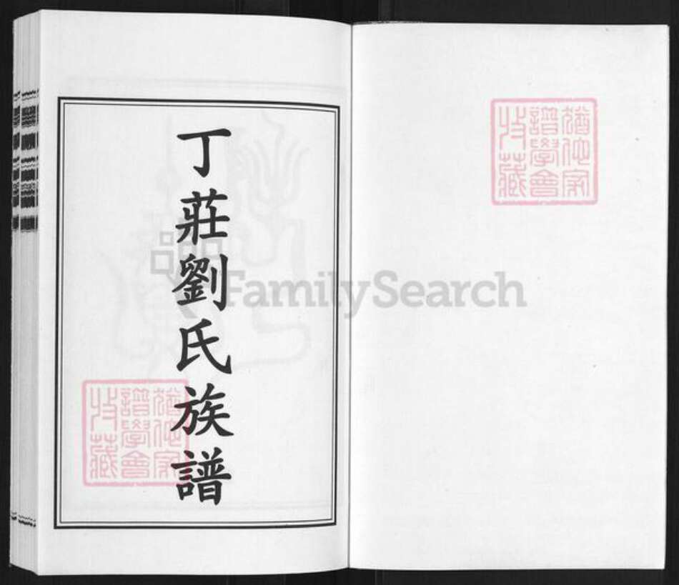 山东省淄博市高青县高城镇刘氏族谱-高苑刘氏宗谱.pdf电子版预览图1