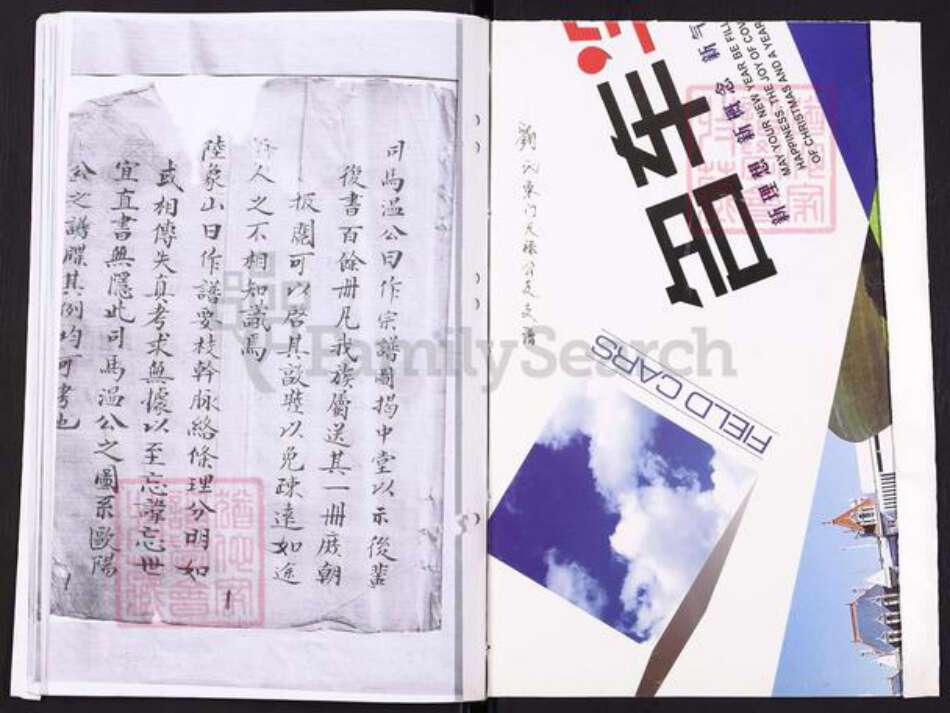 江苏省盐城市刘氏族谱-刘氏东门天禄公支谱.pdf电子版预览图1