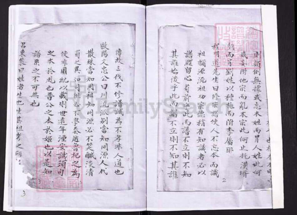 江苏省盐城市刘氏族谱-刘氏东门天禄公支谱.pdf电子版预览图2