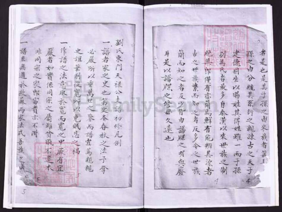 江苏省盐城市刘氏族谱-刘氏东门天禄公支谱.pdf电子版预览图3