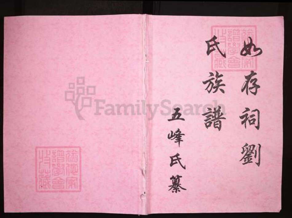 浙江省丽水市龙泉市刘氏族谱-如存祠刘氏族谱.pdf电子版缩略图