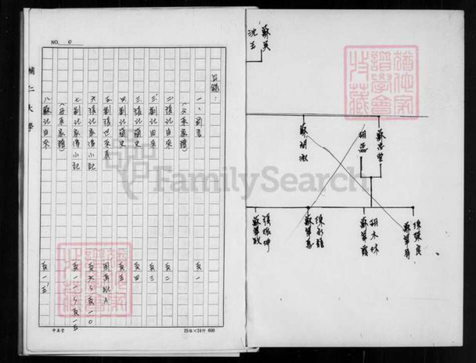 辽宁省锦州义县刘；张；苏氏清河堂族谱-张氏家谱.pdf电子版预览图1
