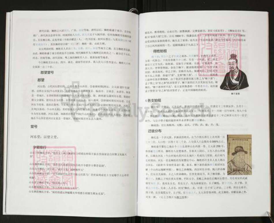 山东省青岛市即墨区柳氏河东堂族谱-柳氏族谱.pdf电子版预览图3