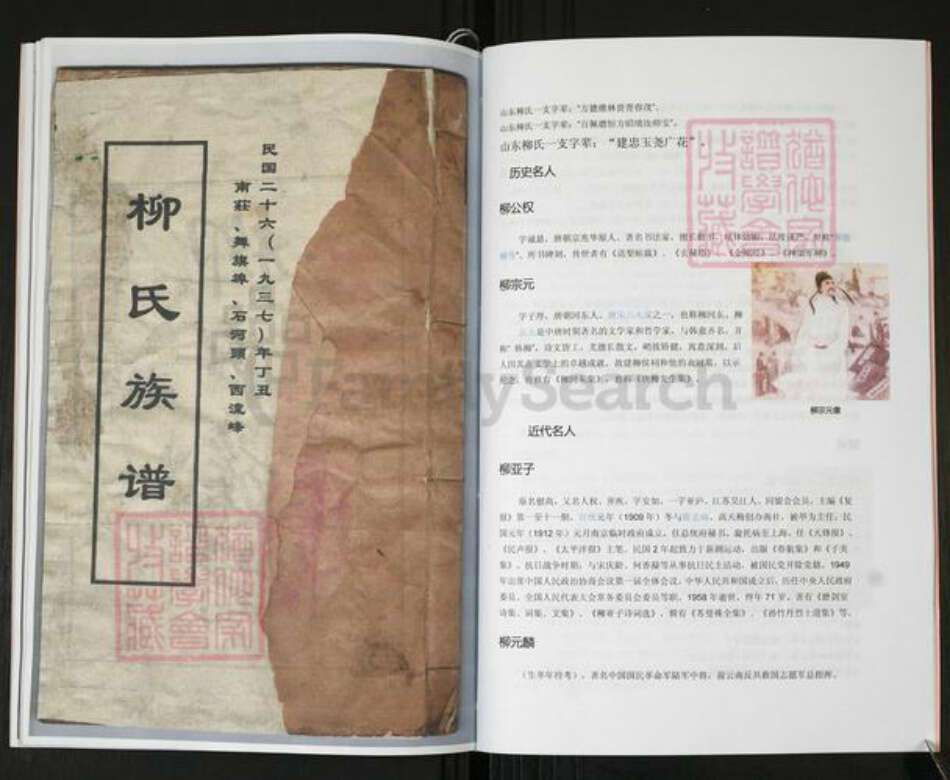 山东省青岛市即墨区柳氏河东堂族谱-柳氏族谱.pdf电子版预览图4