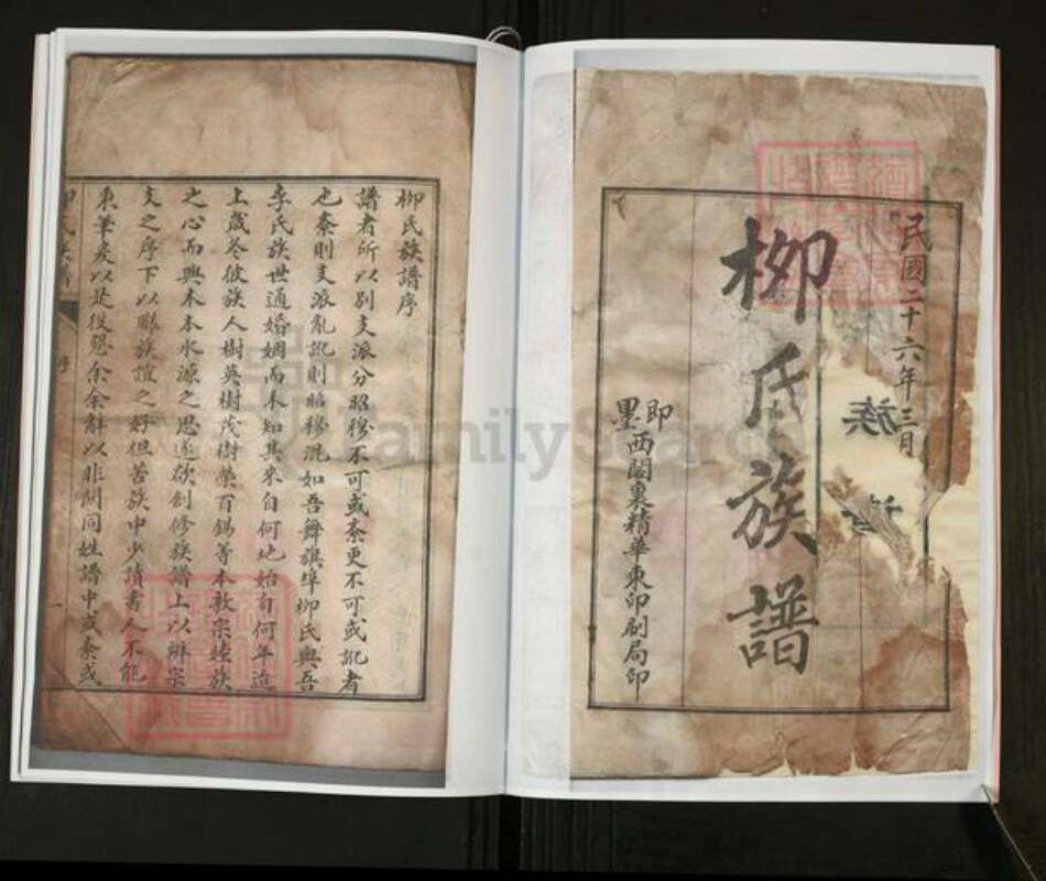 山东省青岛市即墨区柳氏河东堂族谱-柳氏族谱.pdf电子版预览图5