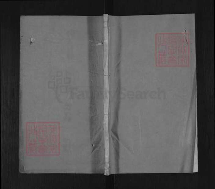浙江省杭州市富阳楼氏惠迪堂族谱-富春东楼氏宗谱.pdf电子版缩略图