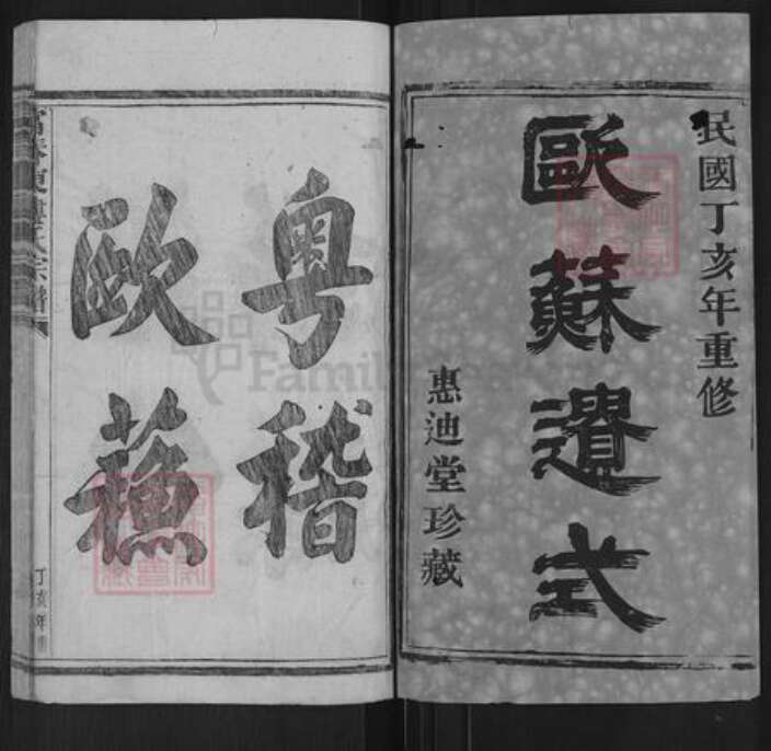 浙江省杭州市富阳楼氏惠迪堂族谱-富春东楼氏宗谱.pdf电子版预览图1