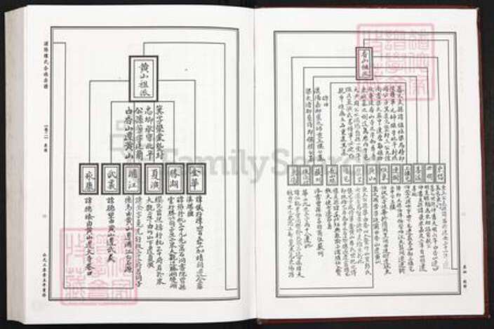 浙江省杭州市萧山区萧山楼氏族谱-浦阳楼氏宗谱.pdf电子版预览图3