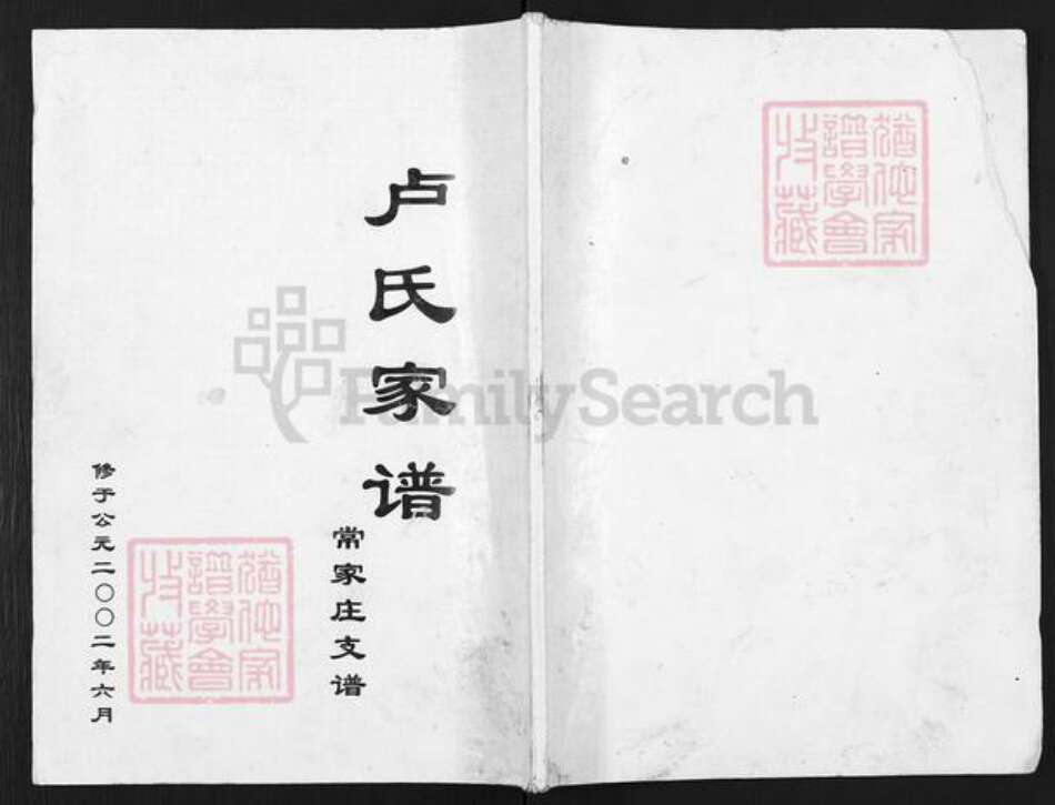 山东省滨州市沾化区卢氏族谱-卢氏家谱.常家庄支谱.pdf电子版缩略图