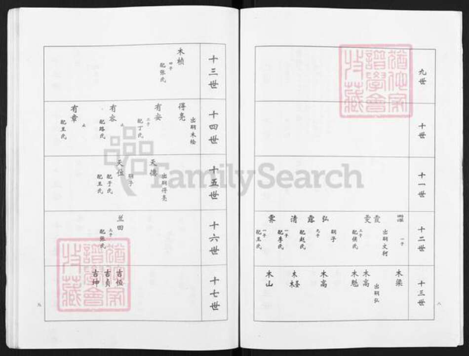 山东省滨州市沾化区卢氏族谱-卢氏家谱.常家庄支谱.pdf电子版预览图5