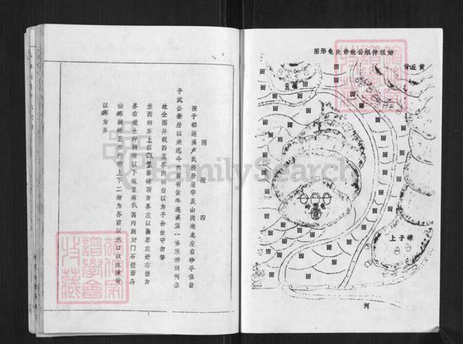 江西省赣州市于都县仙下乡江西省卢；卢氏族谱-于都莲塘卢氏族谱.pdf电子版预览图2