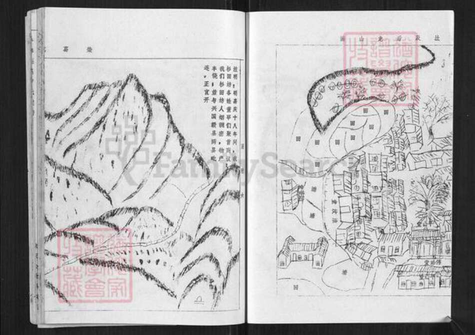 江西省赣州市于都县仙下乡江西省卢；卢氏族谱-于都莲塘卢氏族谱.pdf电子版预览图4