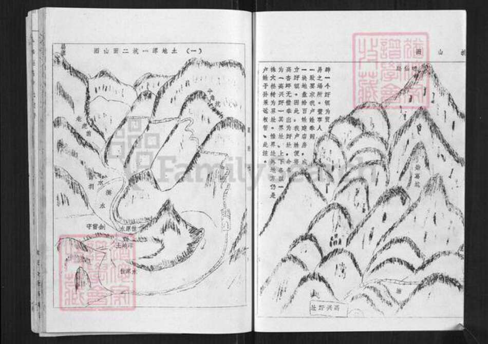 江西省赣州市于都县仙下乡江西省卢；卢氏族谱-于都莲塘卢氏族谱.pdf电子版预览图5