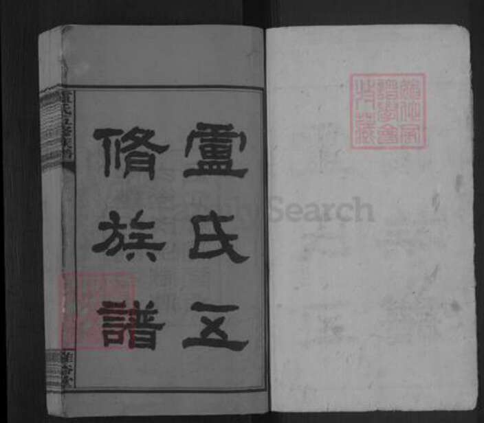 湖南省邵阳市卢氏雅俗堂族谱-卢氏五修族谱.pdf电子版预览图1