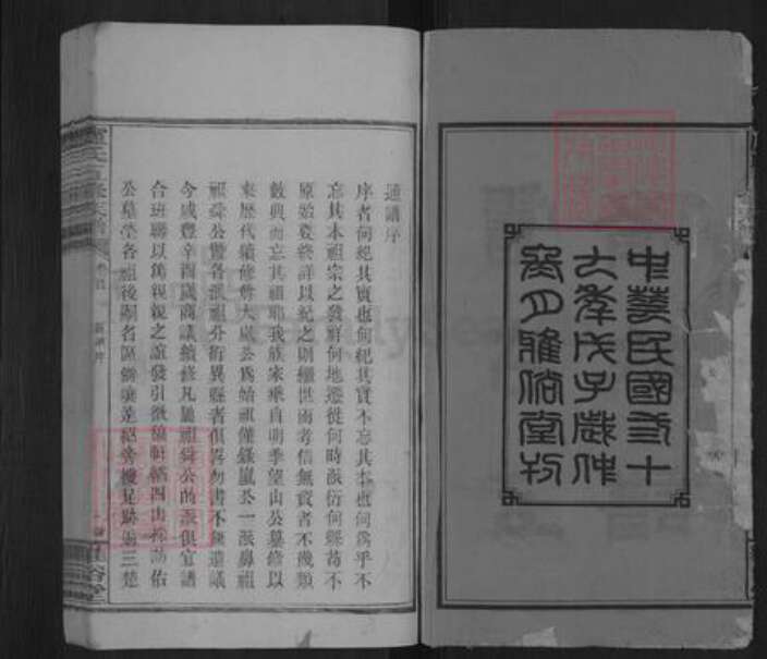 湖南省邵阳市卢氏雅俗堂族谱-卢氏五修族谱.pdf电子版预览图2