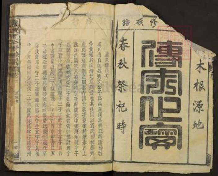 江西省宜春市丰城市卢氏敦本堂族谱-卢氏十三修族谱.pdf电子版预览图2