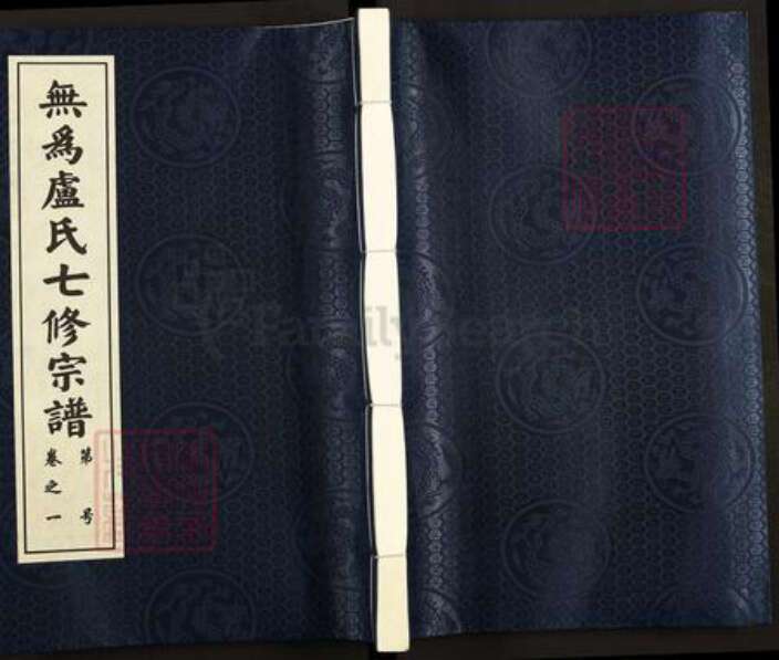 安徽省芜湖市无为县卢氏敦和堂族谱-无为卢氏七修宗谱.pdf电子版缩略图