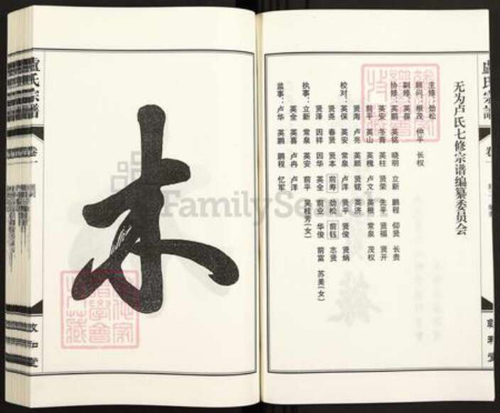 安徽省芜湖市无为县卢氏敦和堂族谱-无为卢氏七修宗谱.pdf电子版预览图2