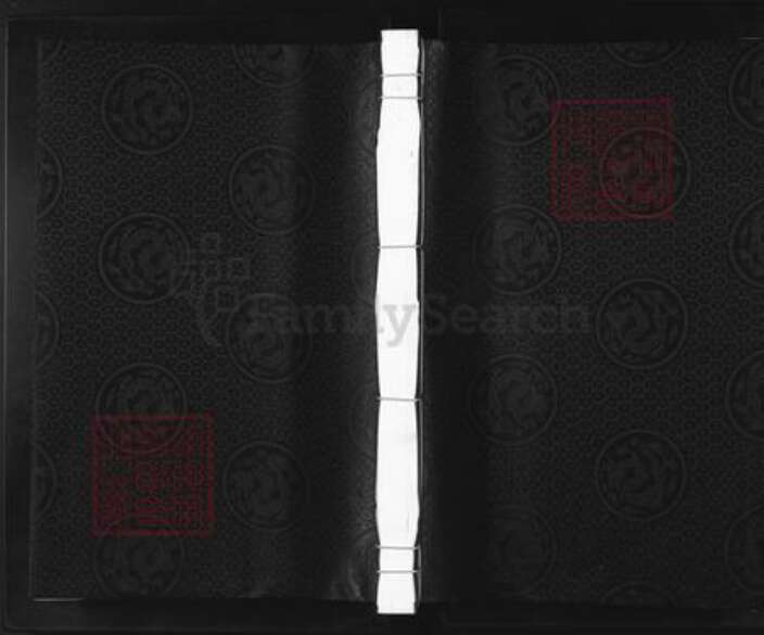 浙江省金华市兰溪市卢氏忠孝堂族谱-范阳卢氏宗谱.pdf电子版缩略图