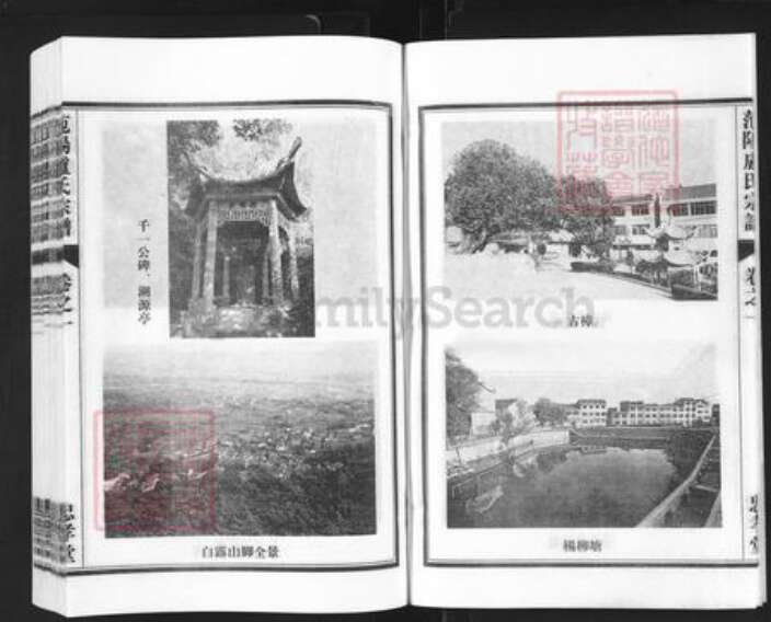 浙江省金华市兰溪市卢氏忠孝堂族谱-范阳卢氏宗谱.pdf电子版预览图5