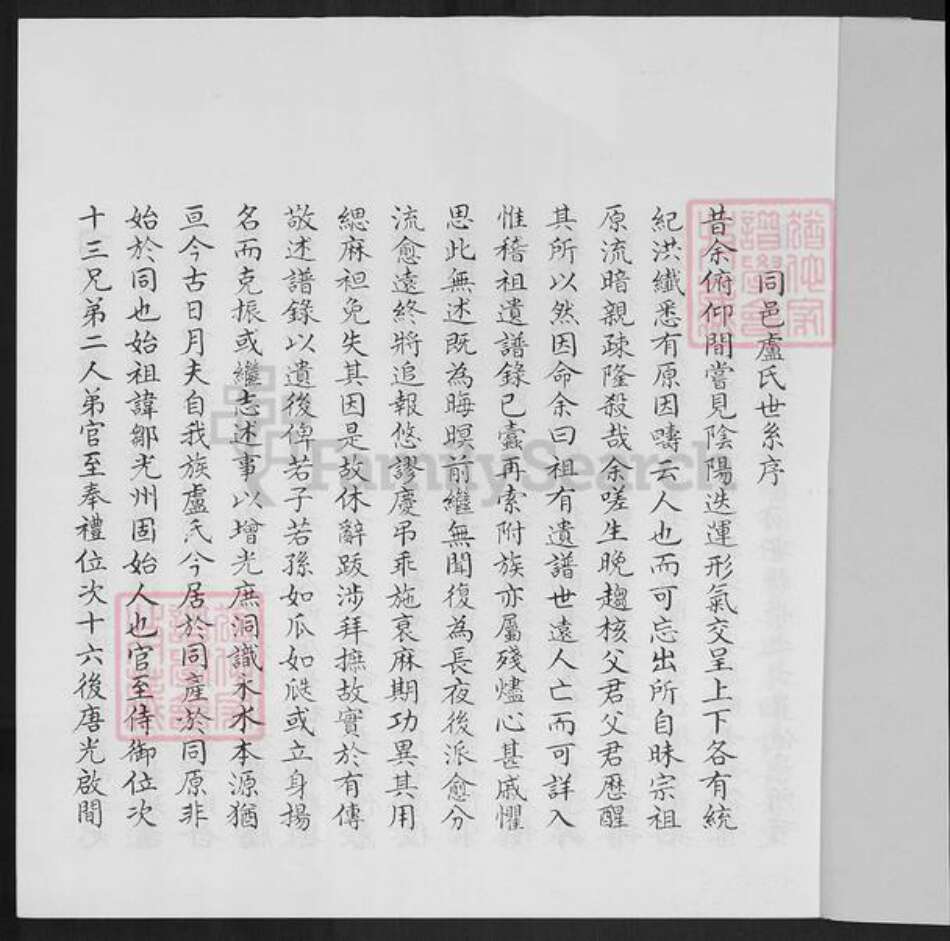 福建省泉州市卢氏族谱-霞美卢氏族谱.pdf电子版预览图1