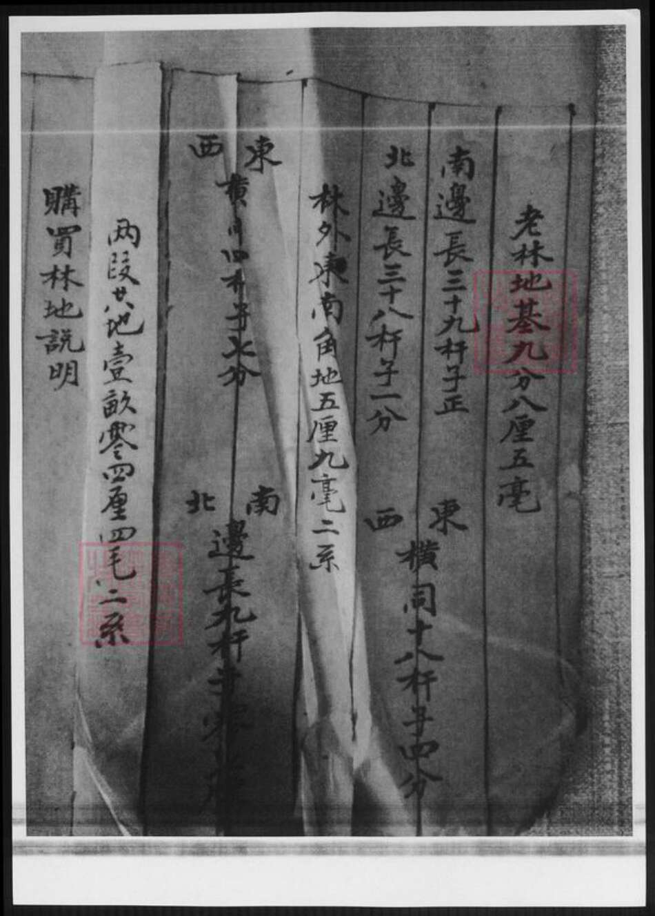 山东省泰安市宁阳县卢氏族谱-山东宁阳卢氏族谱.pdf电子版预览图3