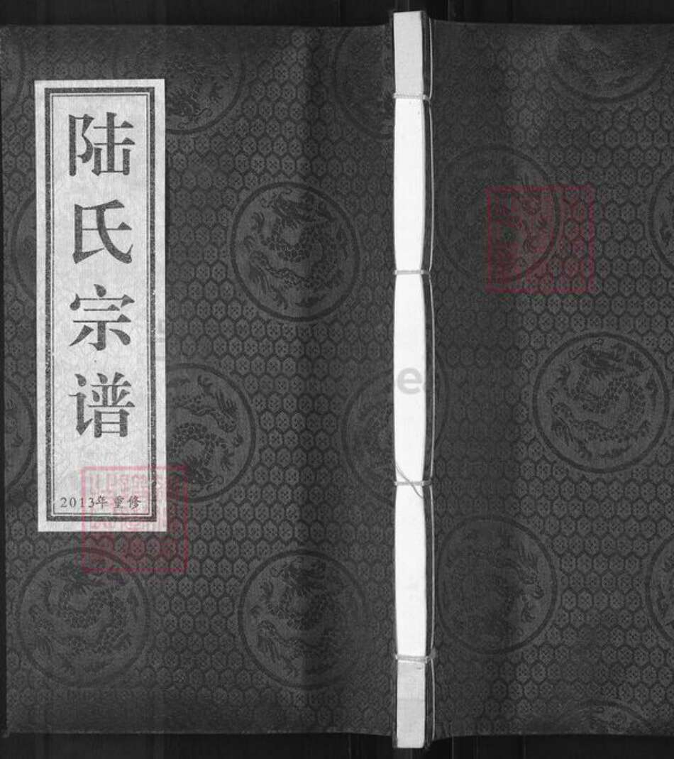 河北省沧州东光县东光镇陆氏族谱-陆氏宗谱.pdf电子版缩略图