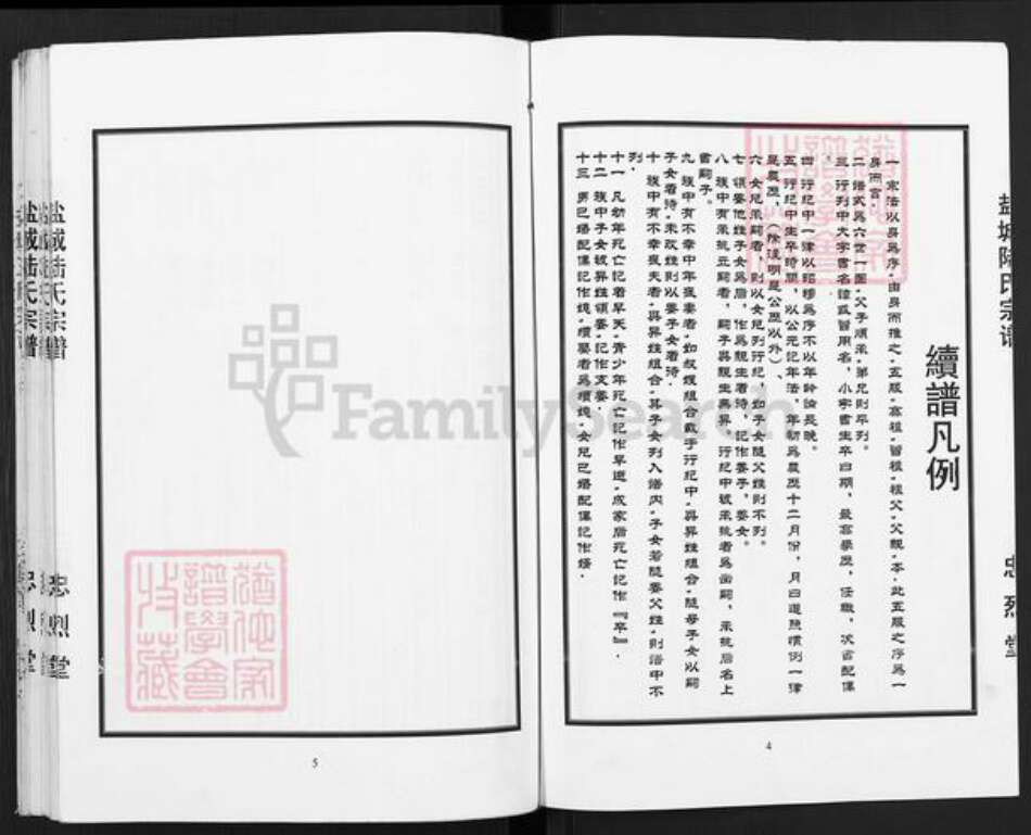 江苏省镇江市丹徒区陆氏忠烈堂族谱-盐城陆氏宗谱(含盐城王氏宗谱).pdf电子版预览图1