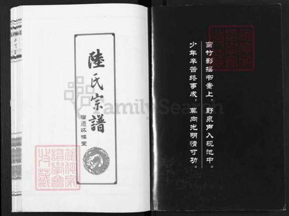 江苏省宿迁市陆氏怀橘堂族谱-陆氏宗谱.pdf电子版预览图1