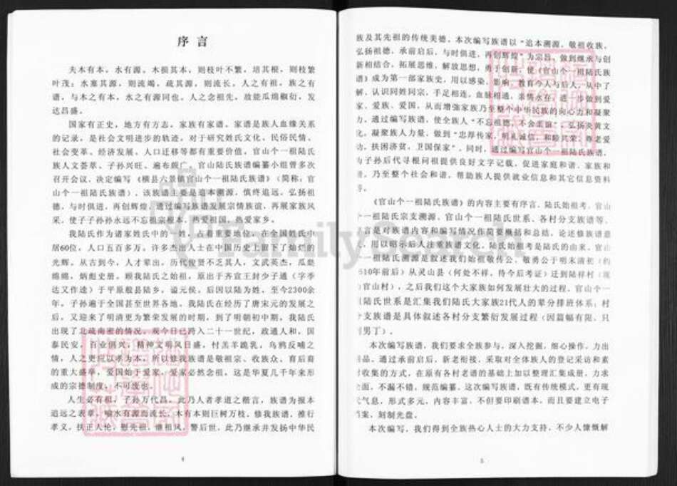 广西壮族自治区南宁市横县六景镇陆氏族谱-陆氏族谱.pdf电子版预览图4