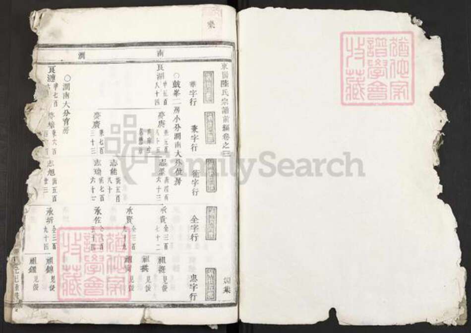 浙江省金华市东阳市陆氏族谱-东阳陆氏宗谱.pdf电子版预览图1