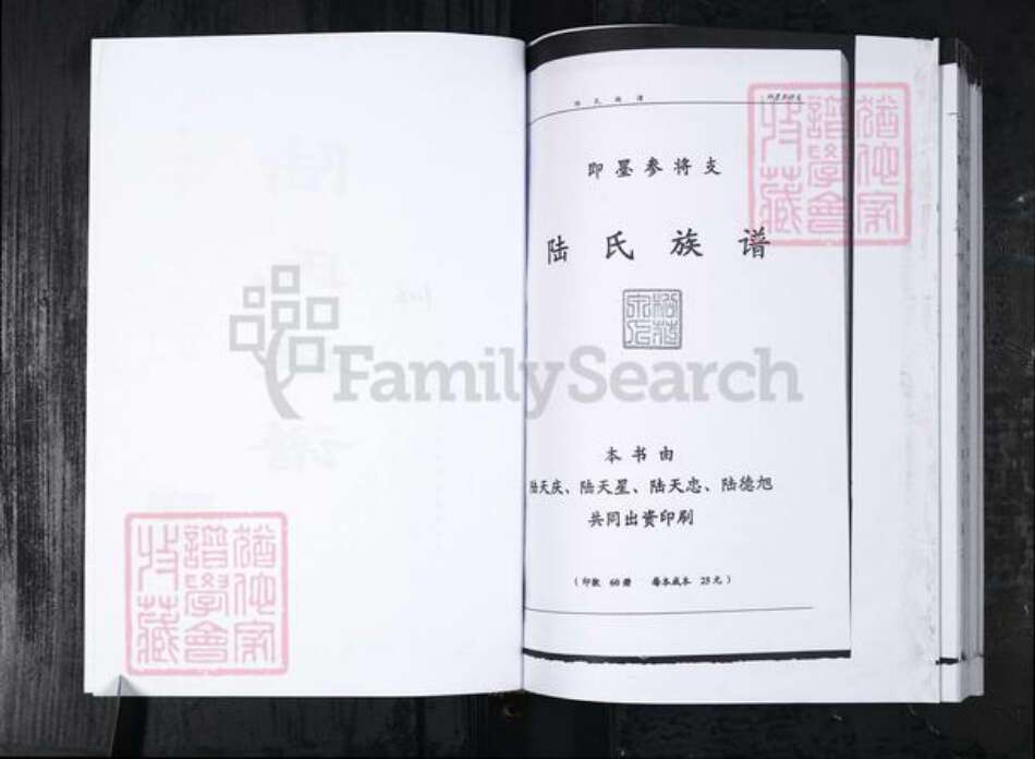 山东省青岛市陆氏族谱-陆氏族谱.即墨宋化泉.pdf电子版预览图2