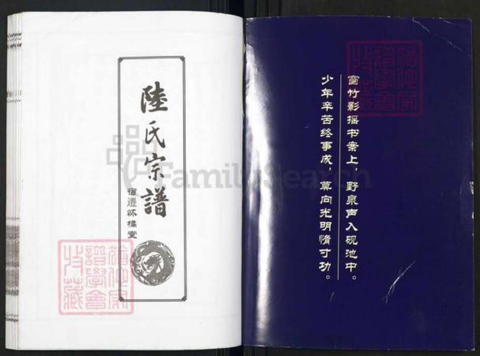 江苏省宿迁市陆氏怀橘堂族谱-陆氏族谱.pdf电子版预览图1