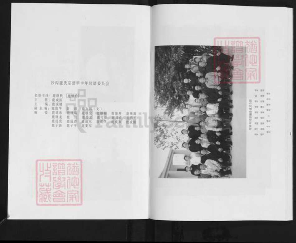 山东省临沂市沂水县沙沟镇鹿氏族谱-沙沟鹿氏宗谱.pdf电子版预览图2
