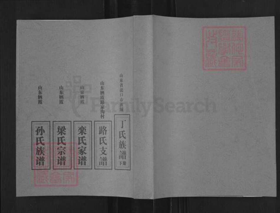 山东省烟台市栖霞市西城镇路氏族谱-栖霞路家沟村路氏支谱.pdf电子版缩略图