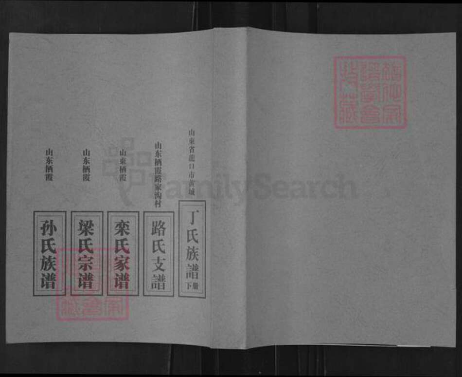 山东省烟台市栖霞市栾氏族谱-栖霞市水道观后庄栾氏家谱.pdf电子版缩略图