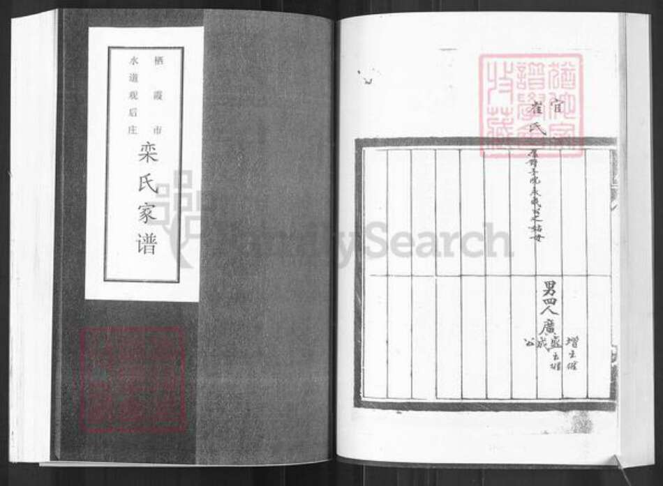 山东省烟台市栖霞市栾氏族谱-栖霞市水道观后庄栾氏家谱.pdf电子版预览图1