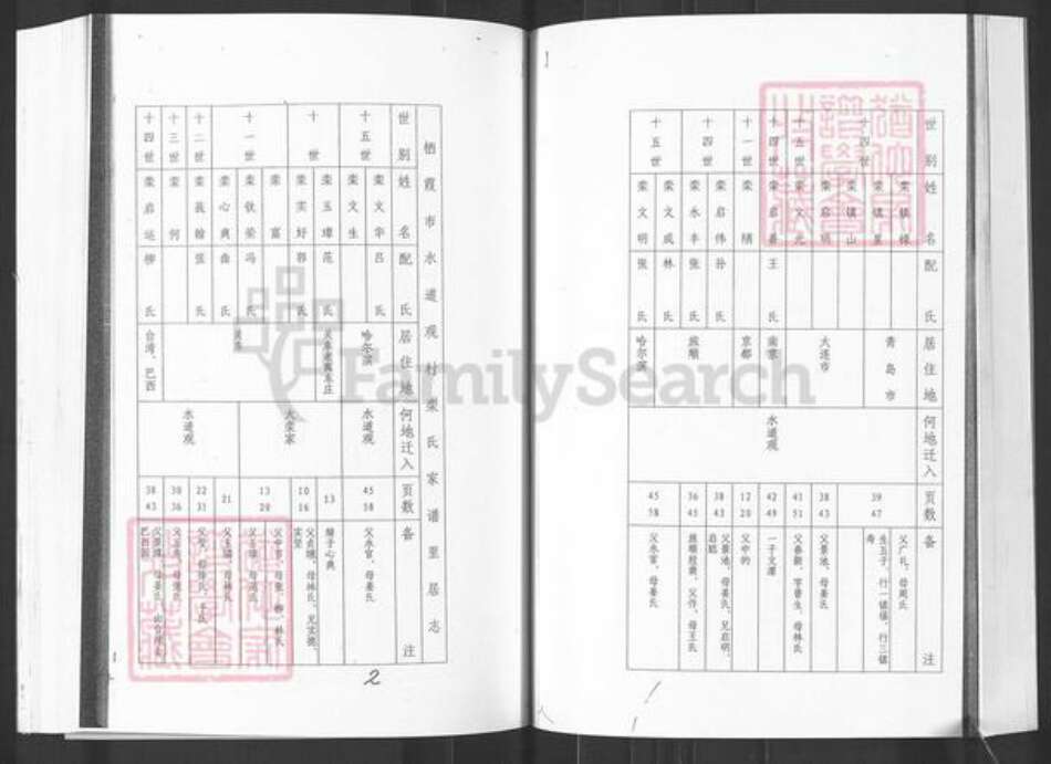 山东省烟台市栖霞市栾氏族谱-栖霞市水道观后庄栾氏家谱.pdf电子版预览图3