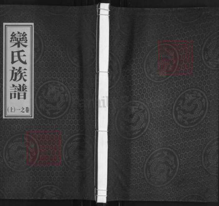 江苏省泰州市泰兴市栾氏静远堂族谱-栾氏族谱.pdf电子版缩略图