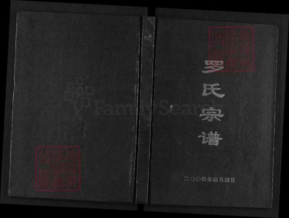 四川省达州市开江县罗氏族谱-罗氏宗谱.pdf电子版缩略图