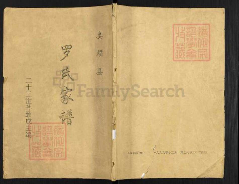 山西省太原市娄烦县罗氏族谱-娄烦县.罗氏家谱.pdf电子版缩略图