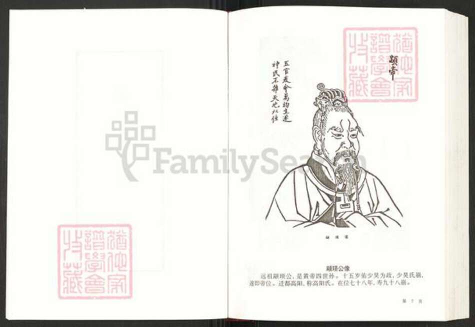 广东省梅州市兴宁市罗氏豫章堂族谱-兴宁罗氏族谱.pdf电子版预览图5