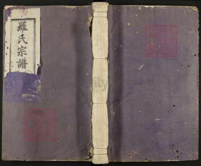 江西省吉安市吉水县阜田镇罗氏族谱-罗氏宗谱.pdf电子版缩略图