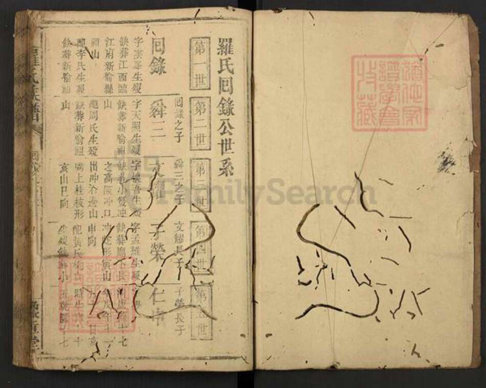 江西省新余市渝水区罗氏豫章堂族谱-罗氏族谱.pdf电子版预览图1