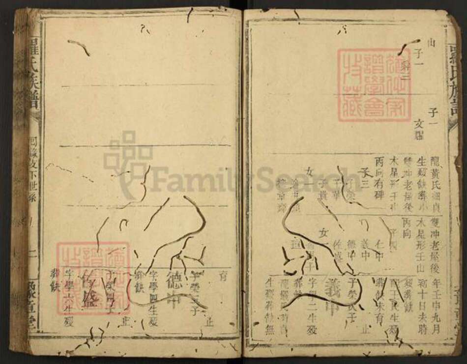 江西省新余市渝水区罗氏豫章堂族谱-罗氏族谱.pdf电子版预览图2