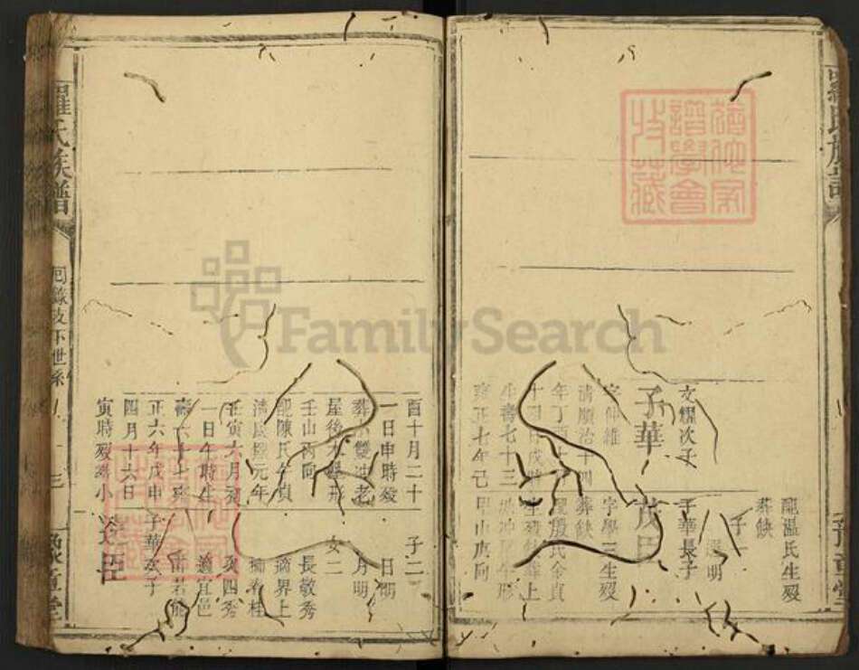 江西省新余市渝水区罗氏豫章堂族谱-罗氏族谱.pdf电子版预览图3