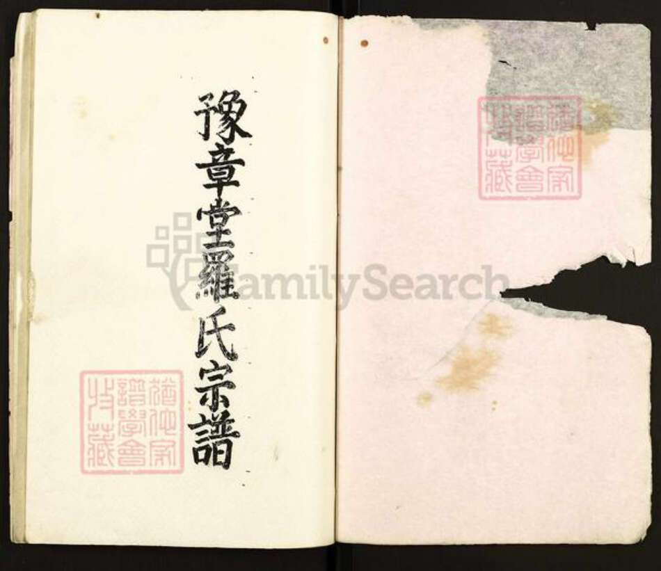 江苏省扬州市高邮市罗氏豫章堂族谱-豫章堂罗氏宗谱.pdf电子版预览图1