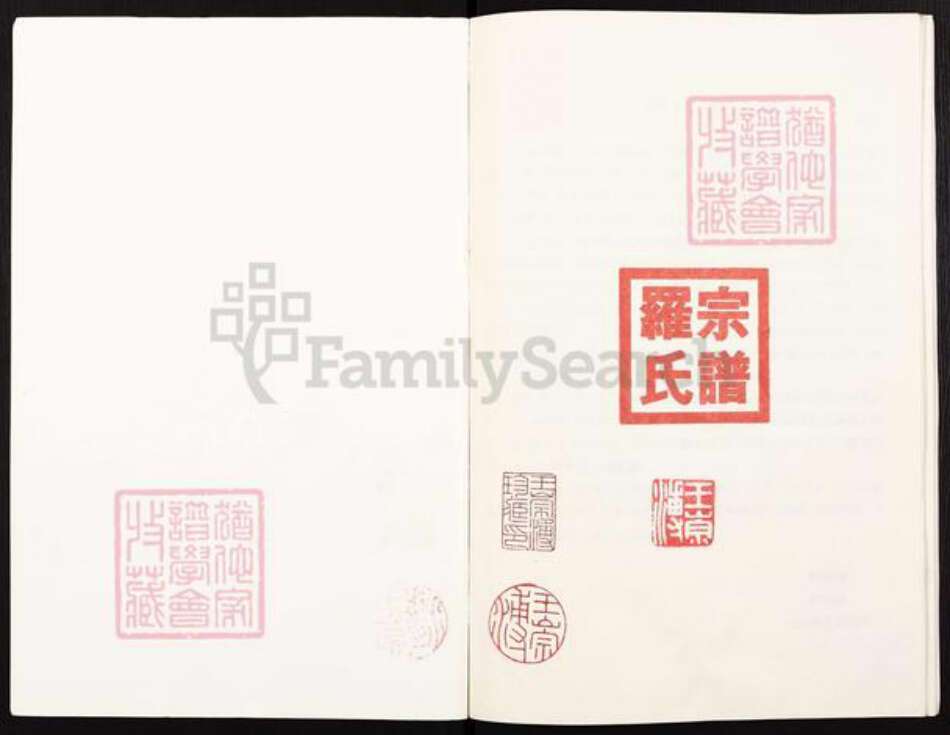 重庆市巴南区罗氏族谱-罗氏宗谱.pdf电子版预览图1